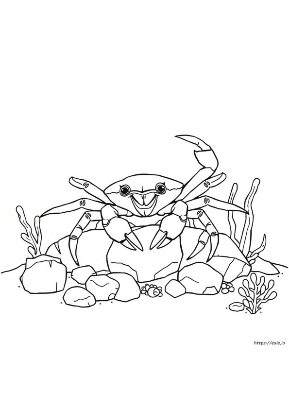 Japanese Spider Crab Coloring Page