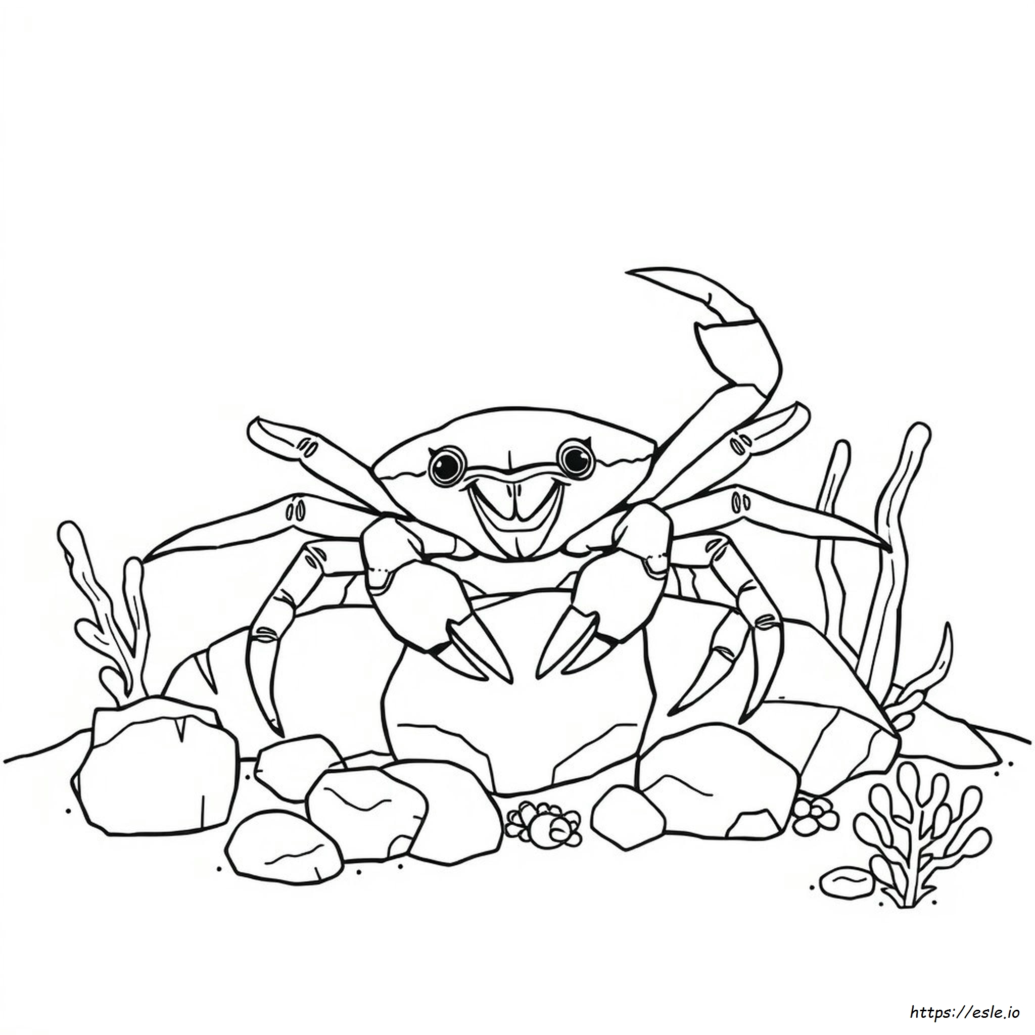 Kepiting Laba-Laba Jepang Gambar Mewarnai