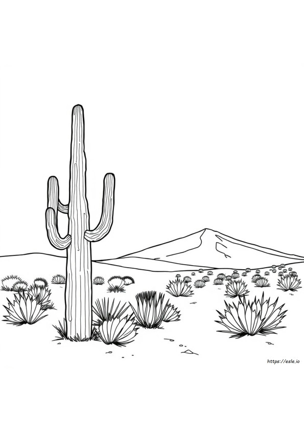 Arizona Kleurplaat