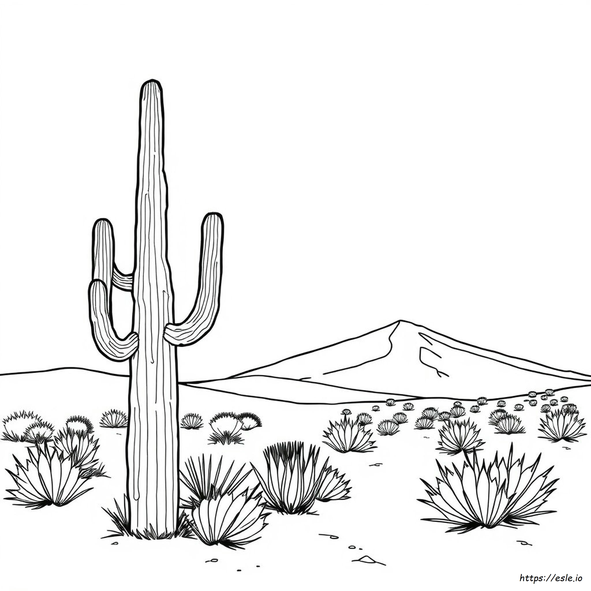 Arizona Coloring Page - Free Printable