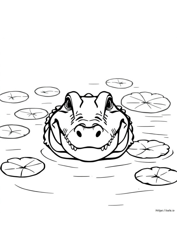 Alligator Head Coloring Page