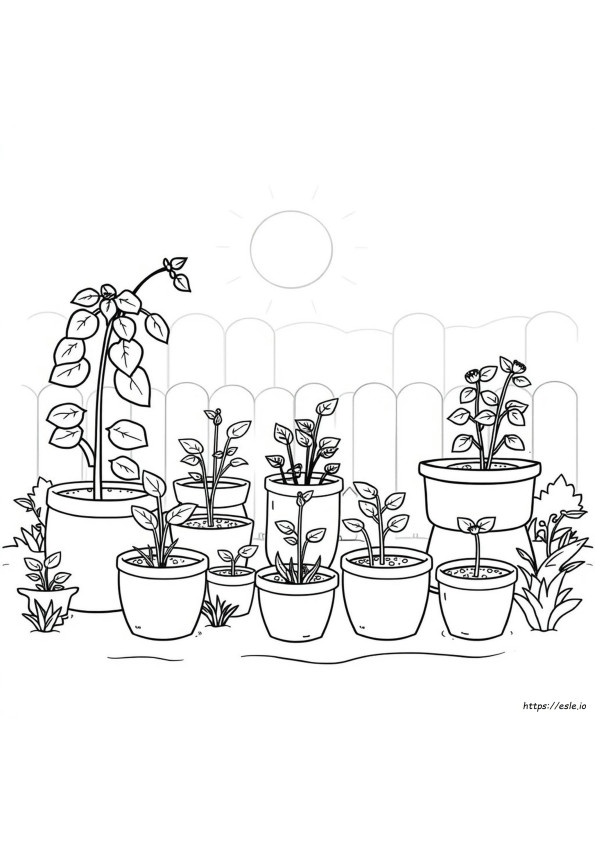 Grow Foods Coloring Pages