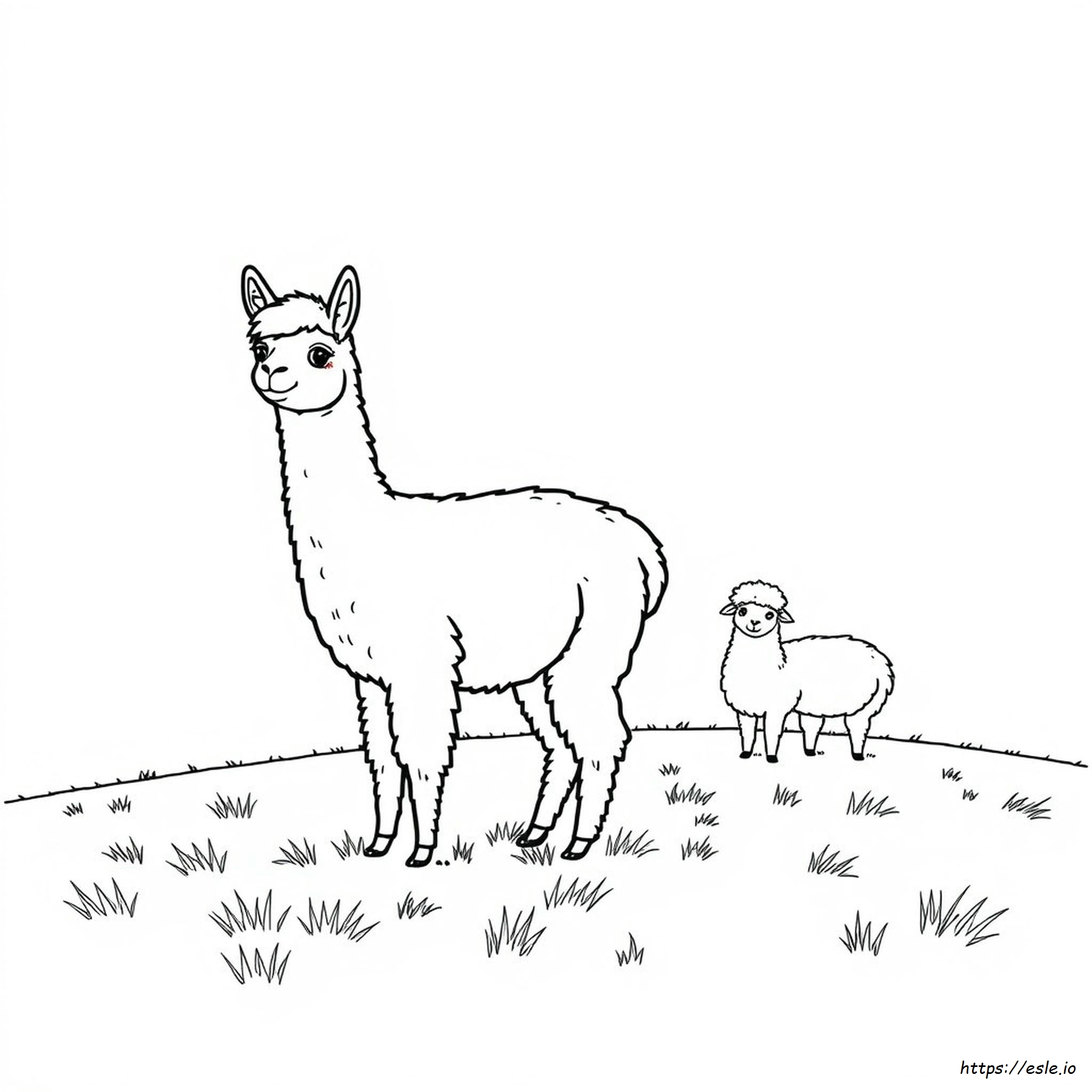 Alpaca Colouring Pages