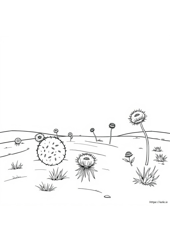 Tumbleweed Da Colorare