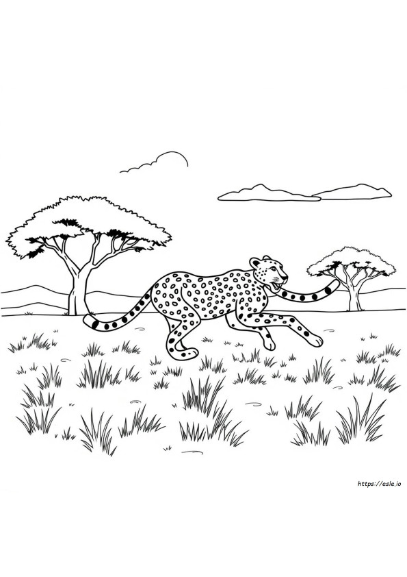 チーター ぬりえ