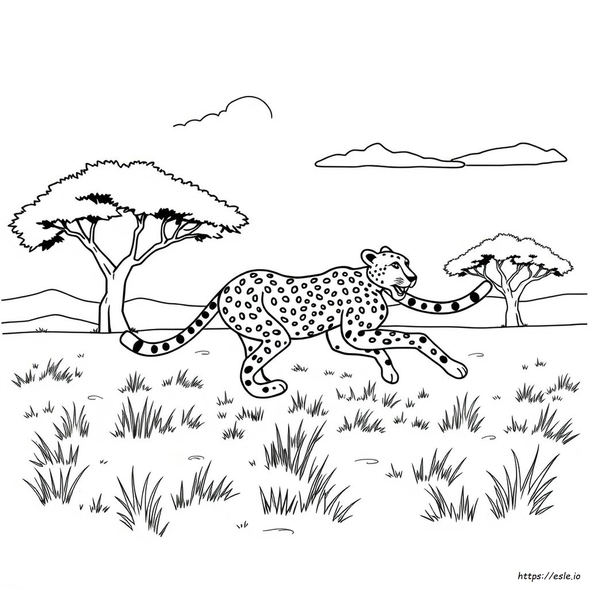 チーター ぬりえ