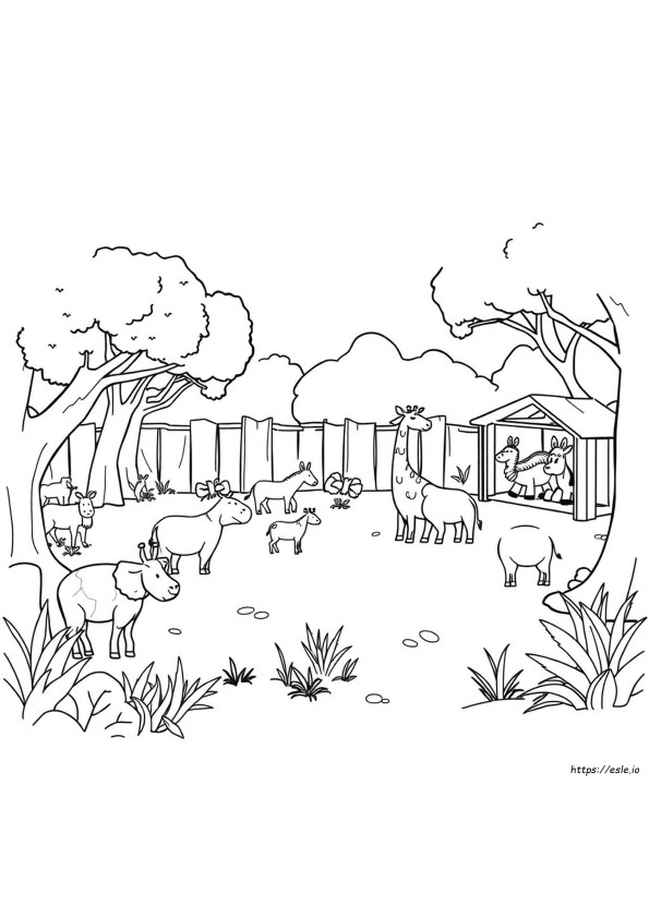 Immagine Da Colorare Di Zoo