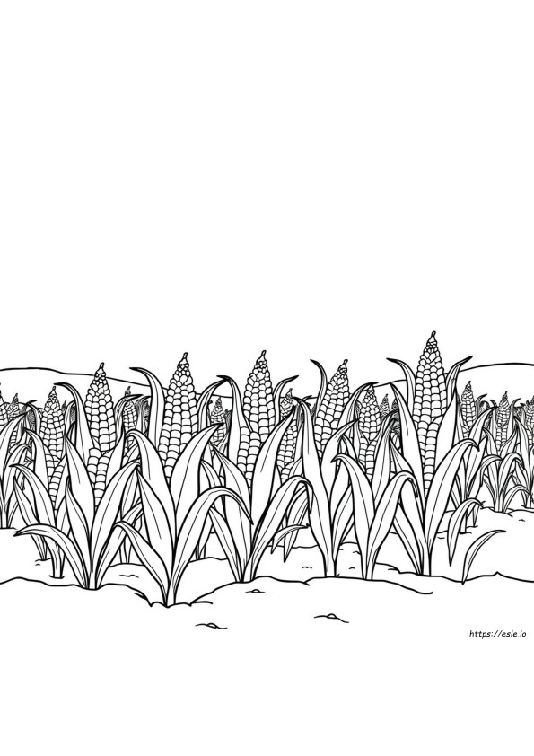 Coloriages De Maïs