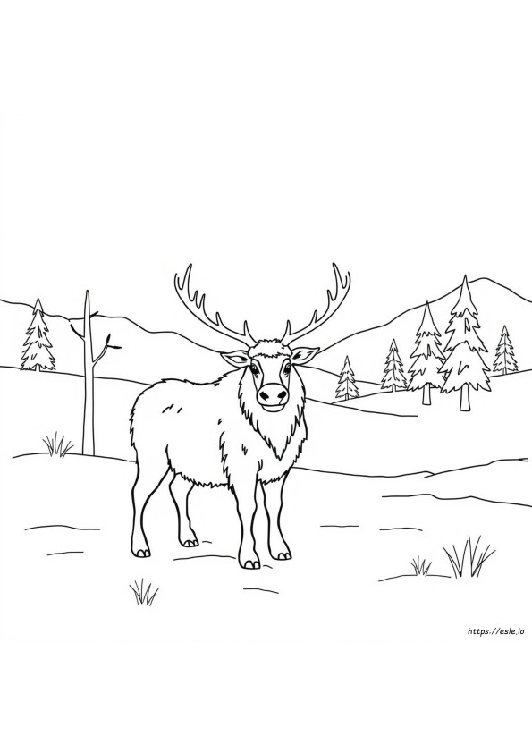 Enhjørning Coloring Pages