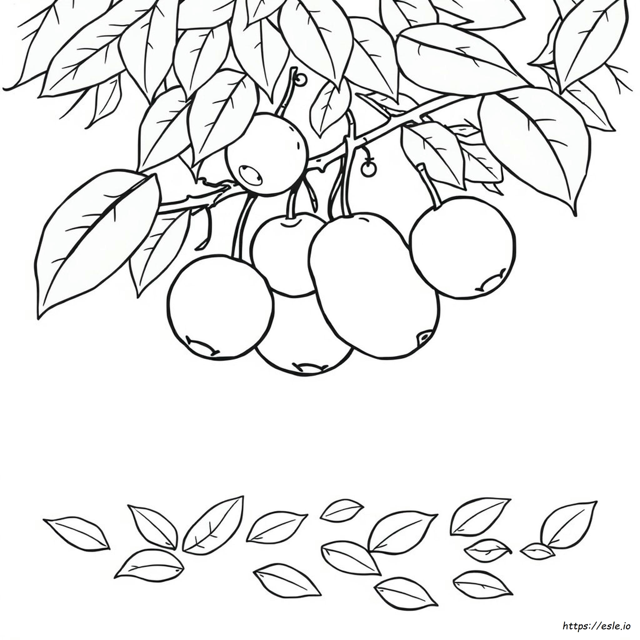 Obst Ausmalbild Zum Ausdrucken - Für Kinder