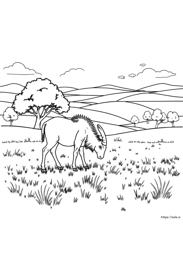 Umung Us Coloring Pages