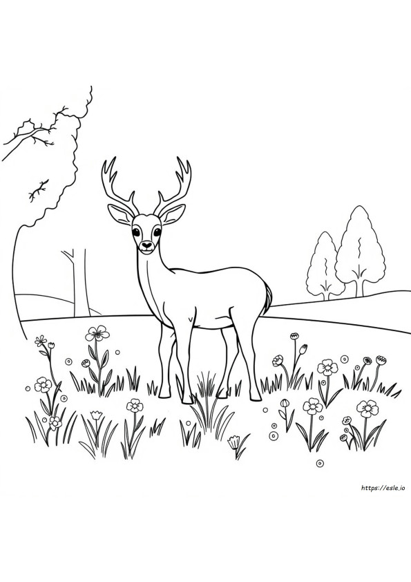 Desene De Colorat Imprimabile Cu Cerbi
