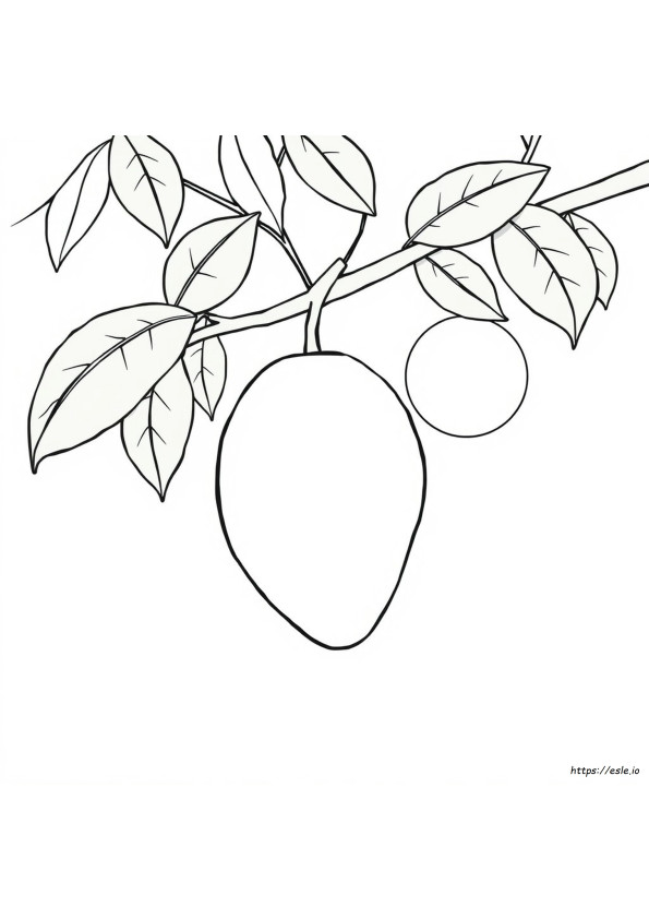 Manga Para Colorir
