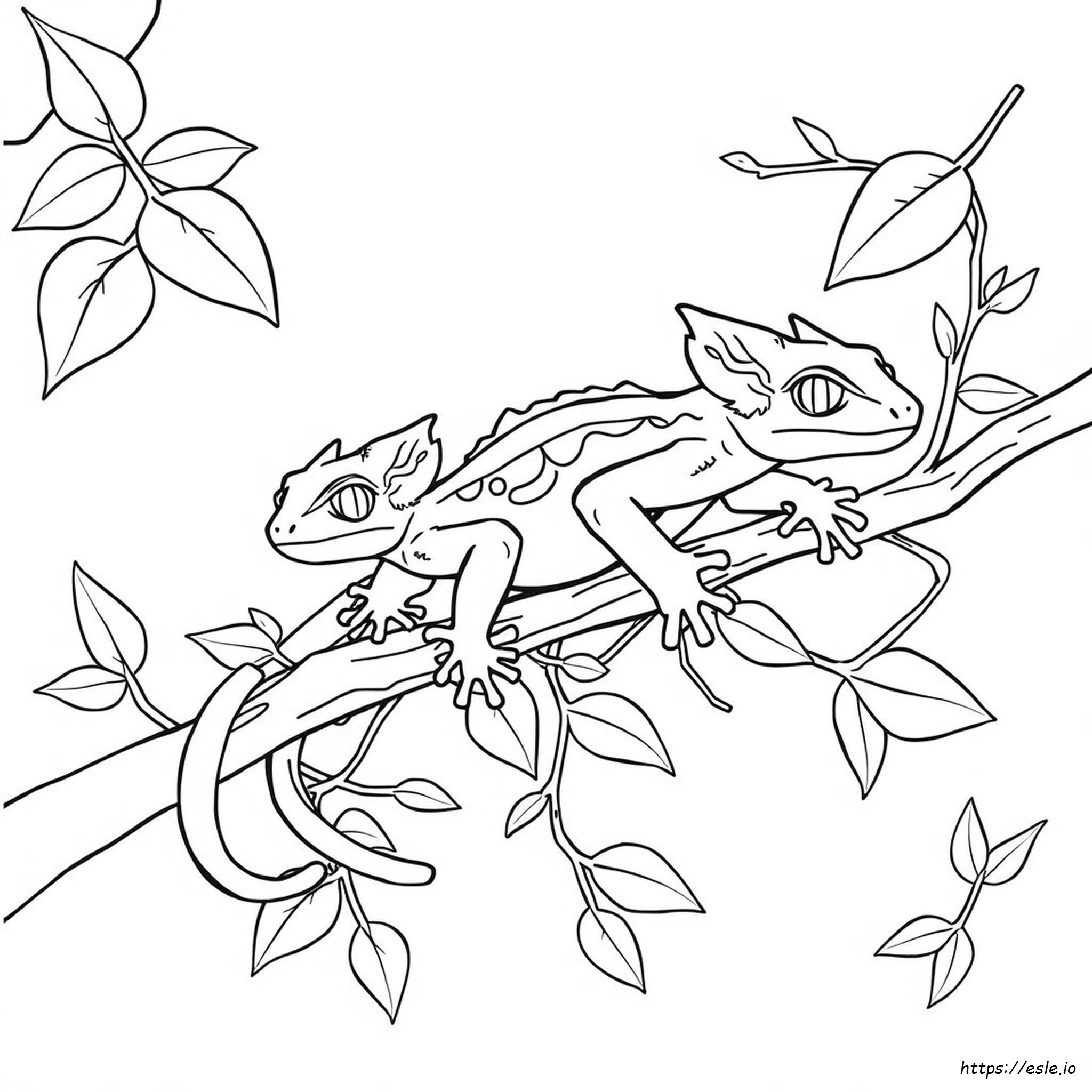 Crested Gecko Coloring Page