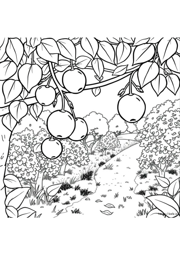 Fruitcoloring Pages