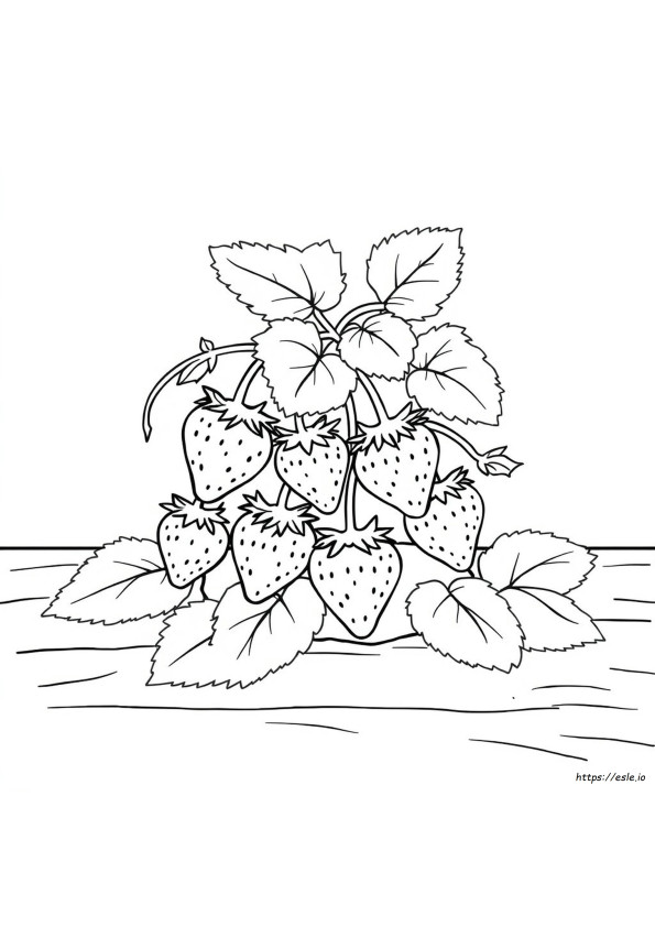 Strawberry Images For Colouring