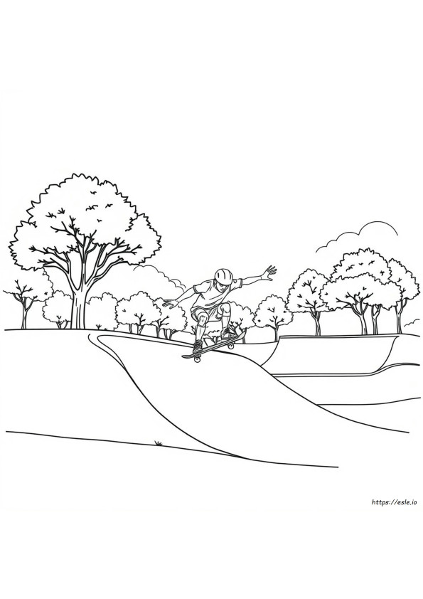 Skateboard Colouring