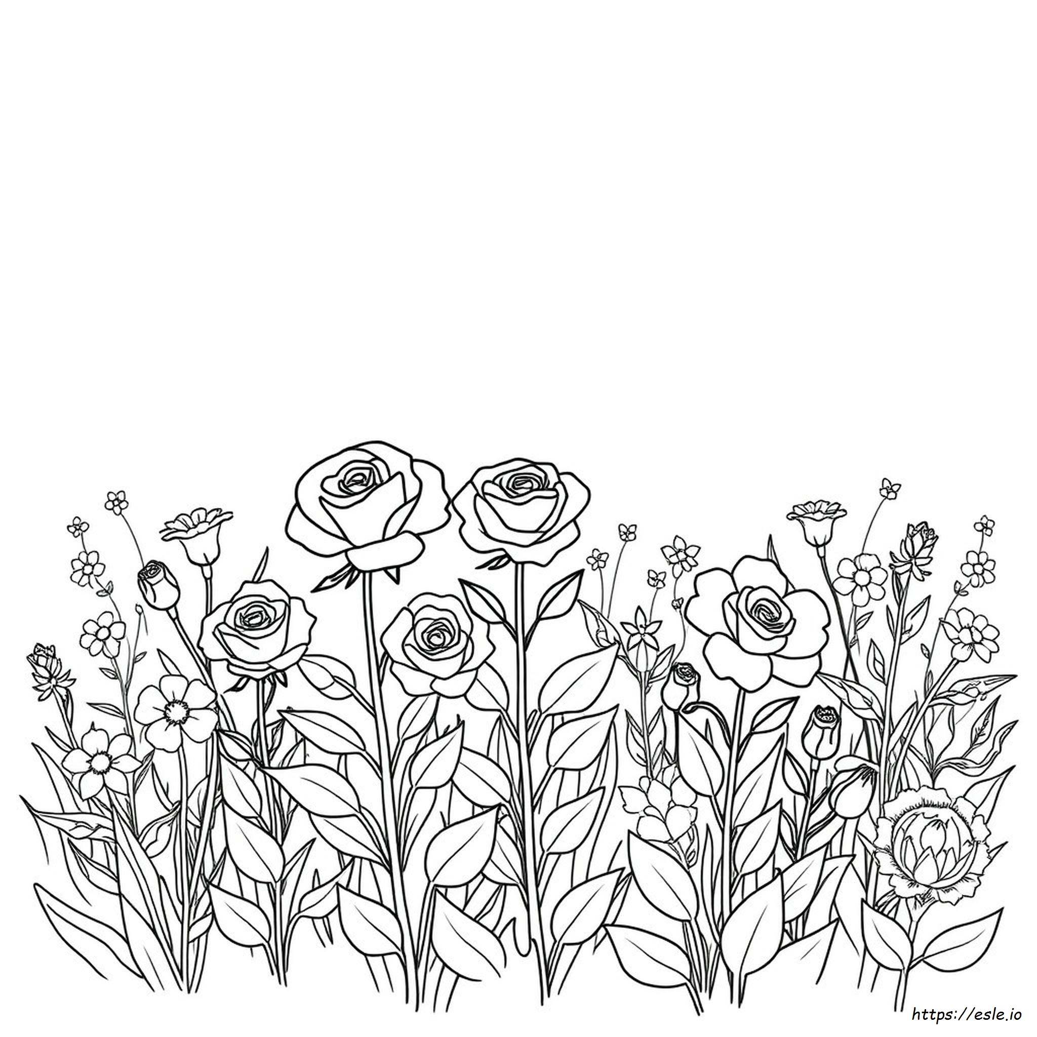 Rosen Und Blumen Ausmalbilder