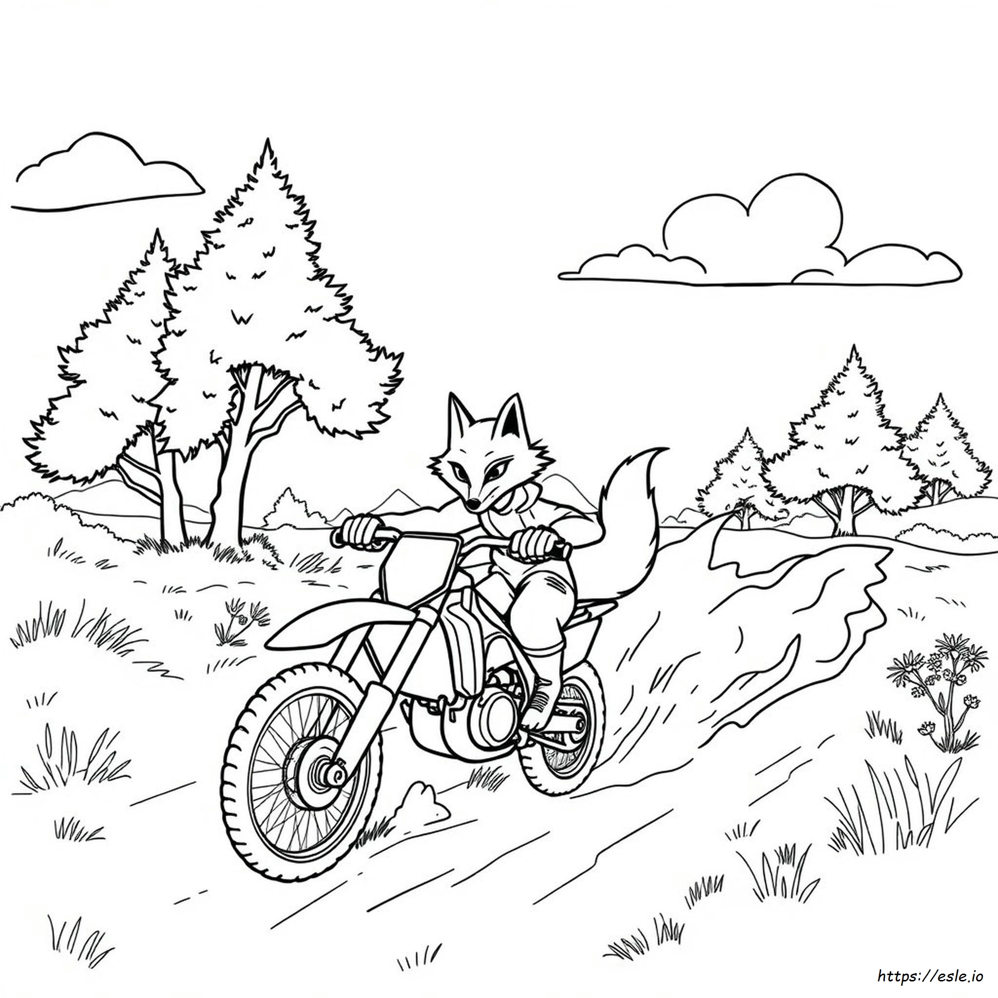 Fox Motocross Coloring Pages