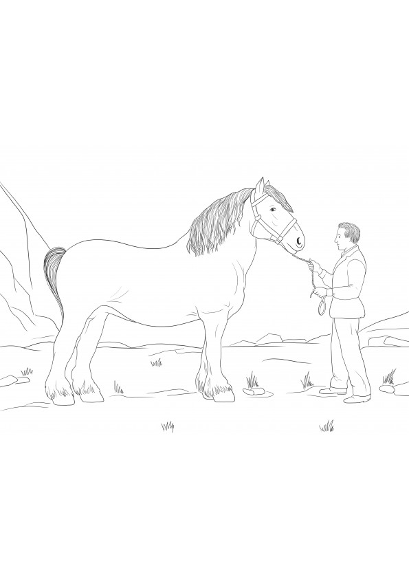 Clydesdale Horse colorir imagem grátis para imprimir ou baixar