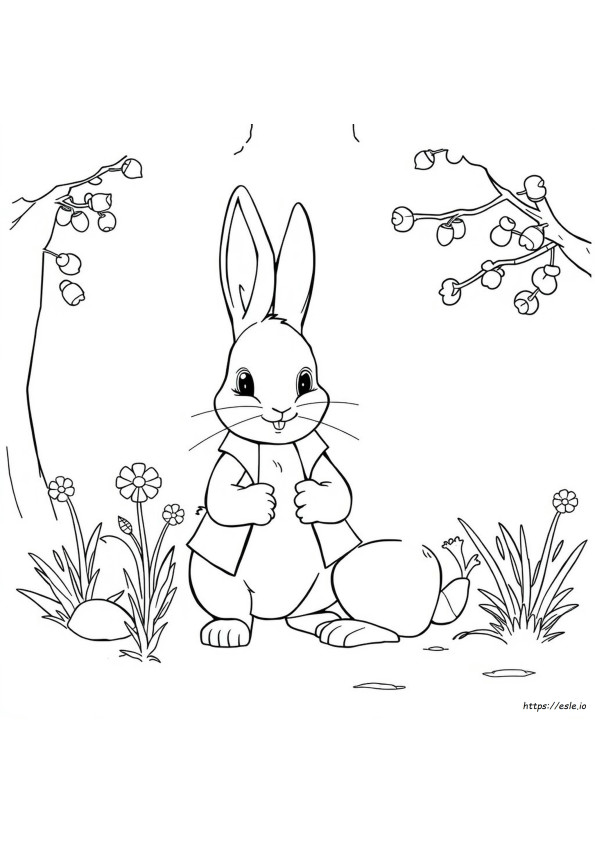Peter Rabbit 2 Boyama Sayfaları