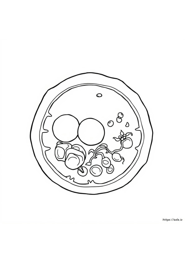 Ask A Biologist Coloring Page Animal Cell Answers
