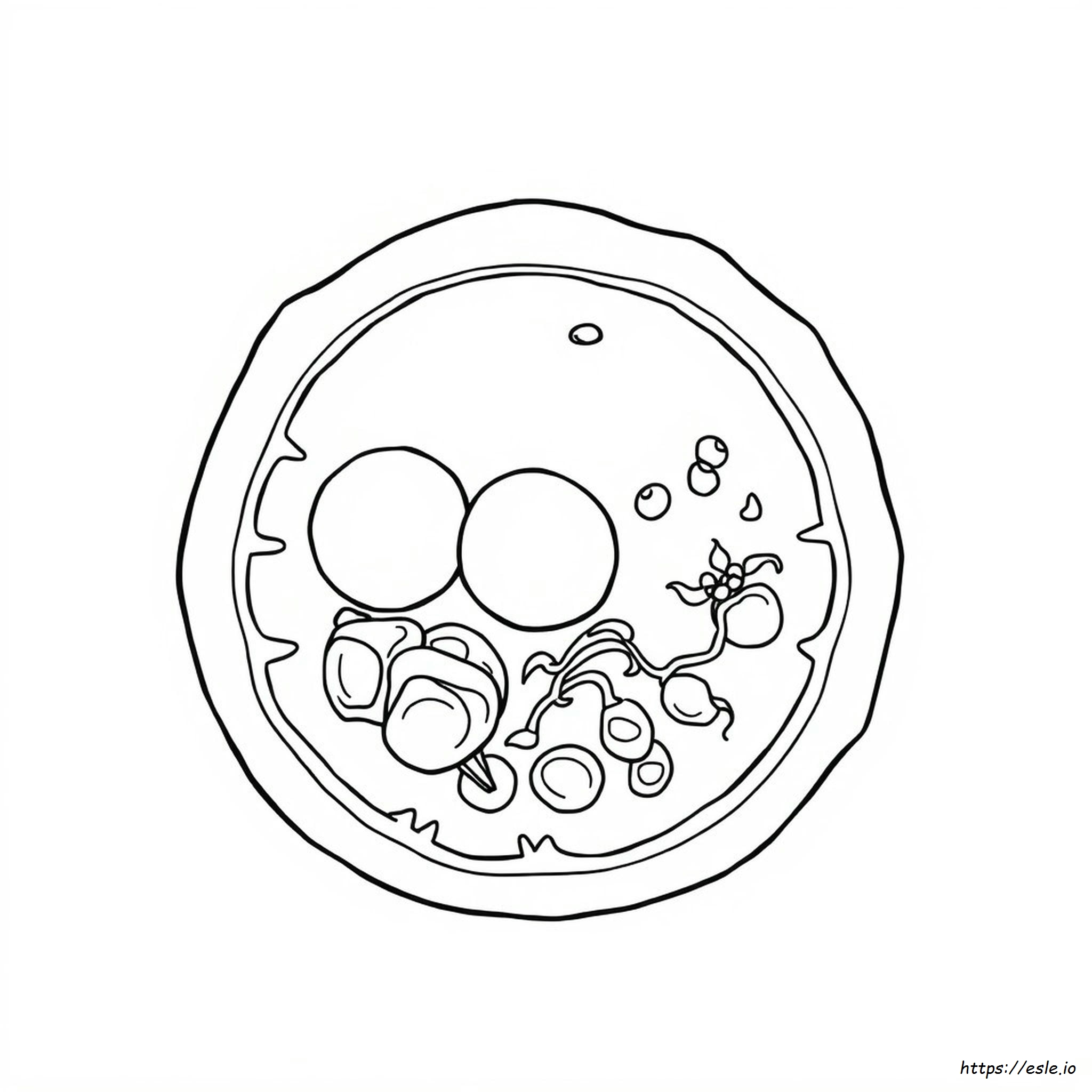 Animal Cell Coloring Page - Free Printable