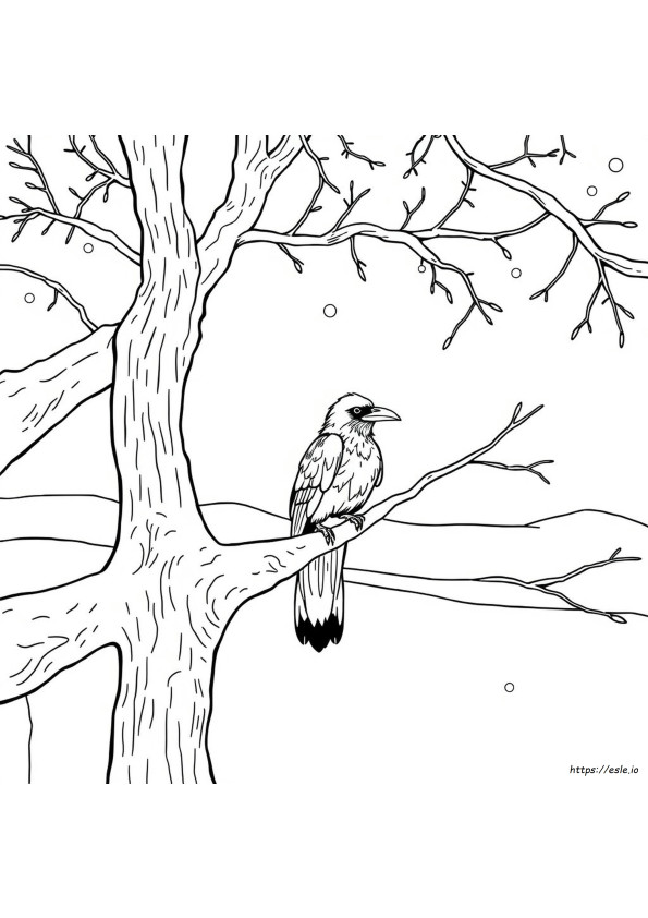 Gambar Mewarnai Burung Gagak