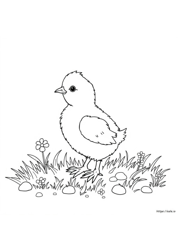 リアルなひよこ塗り絵
