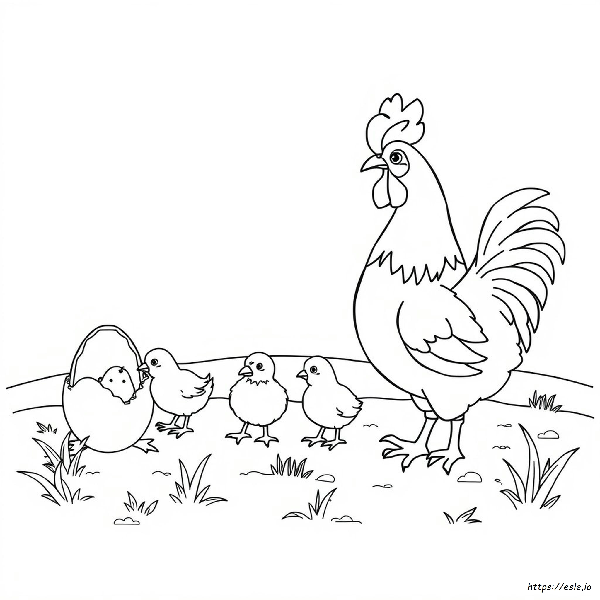 Life Cycle Of A Chicken Coloring Page