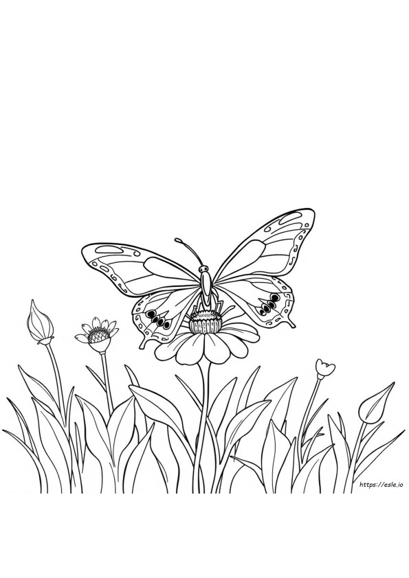 Libro De Mariposas Para Colorear