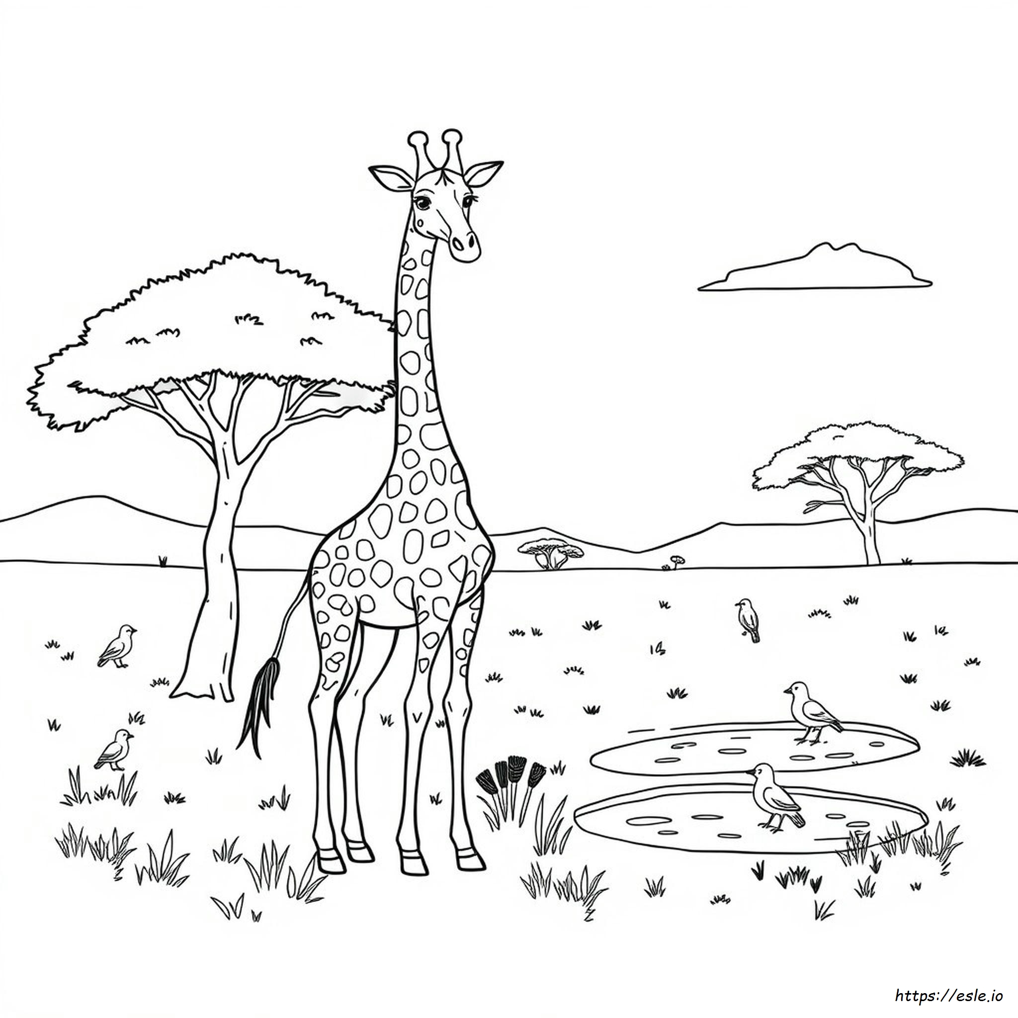 Printable Coloring Pages Of Giraffes - Free PDF