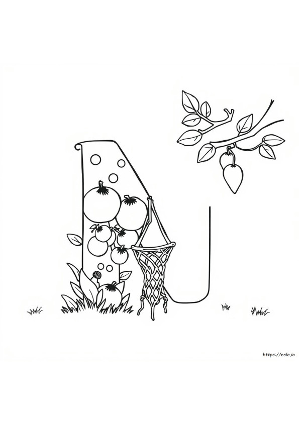 Lettera N: Disegni Da Colorare