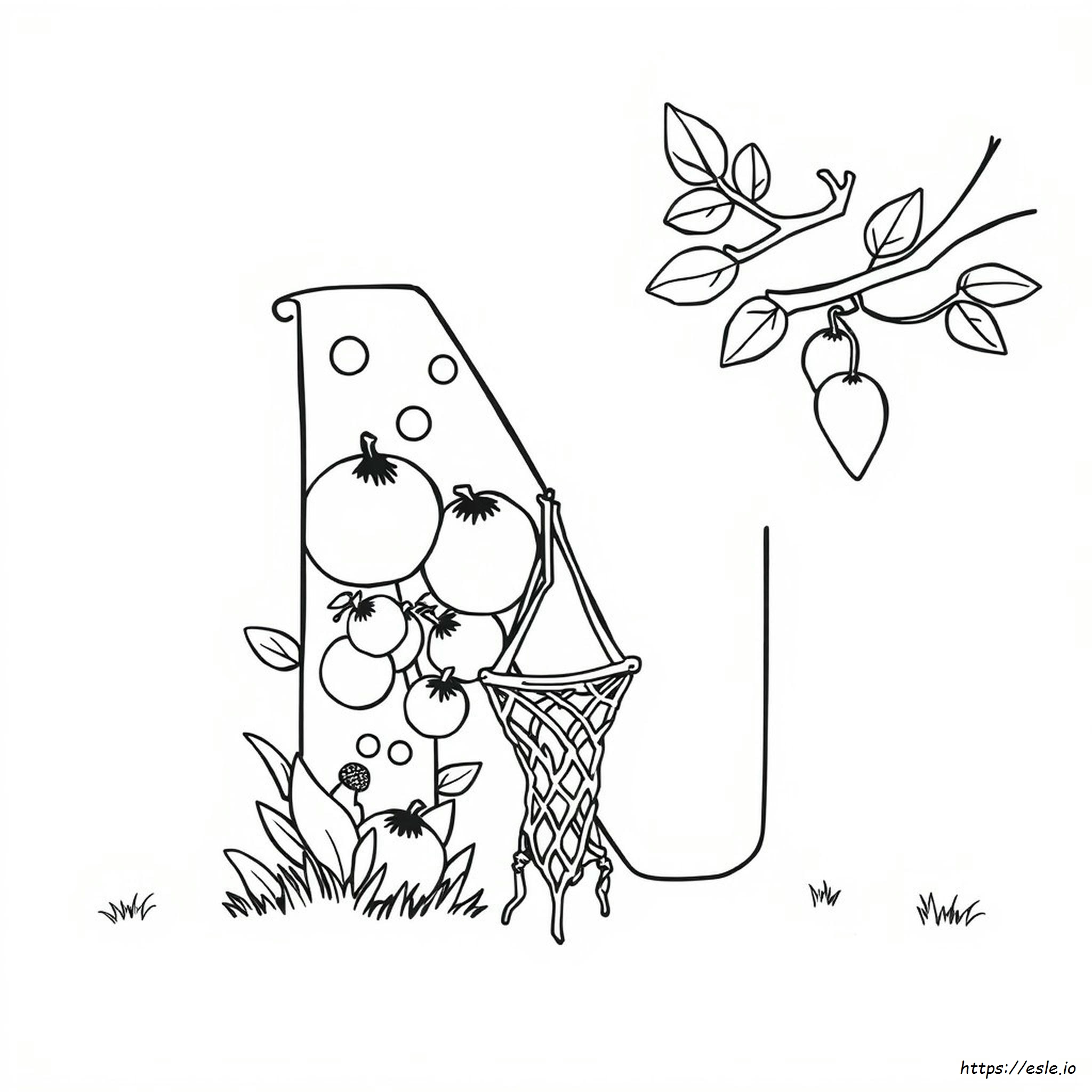 Lettera N Disegni Da Colorare