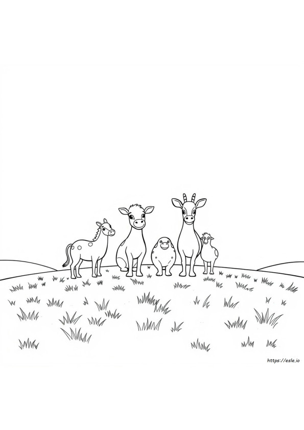 Colour Drawing Pictures Of Animals