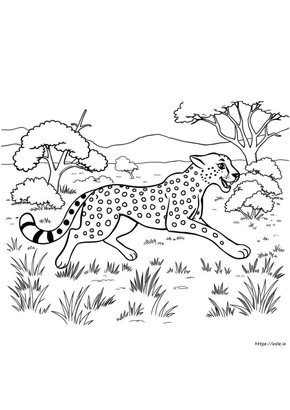 Páginas Complicadas Para Colorear Animales