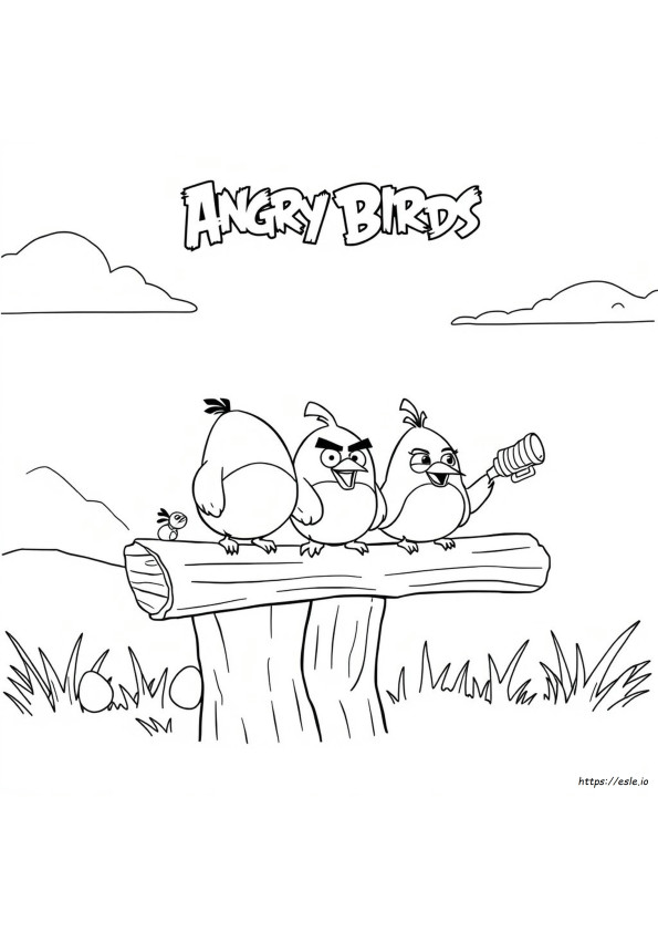 Angry Birds Filmi Boyama
