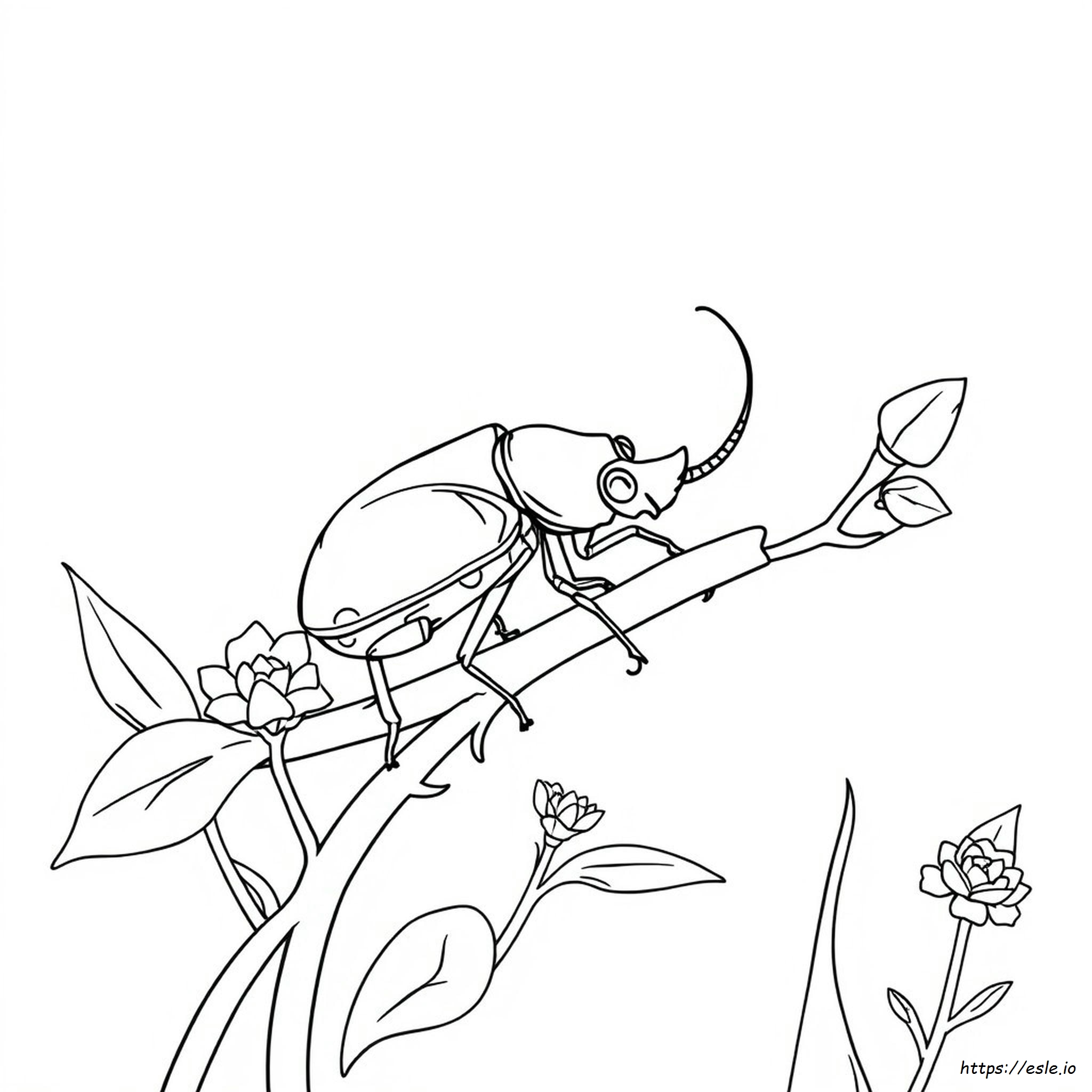 Rhinoceros Beetle Coloring Page