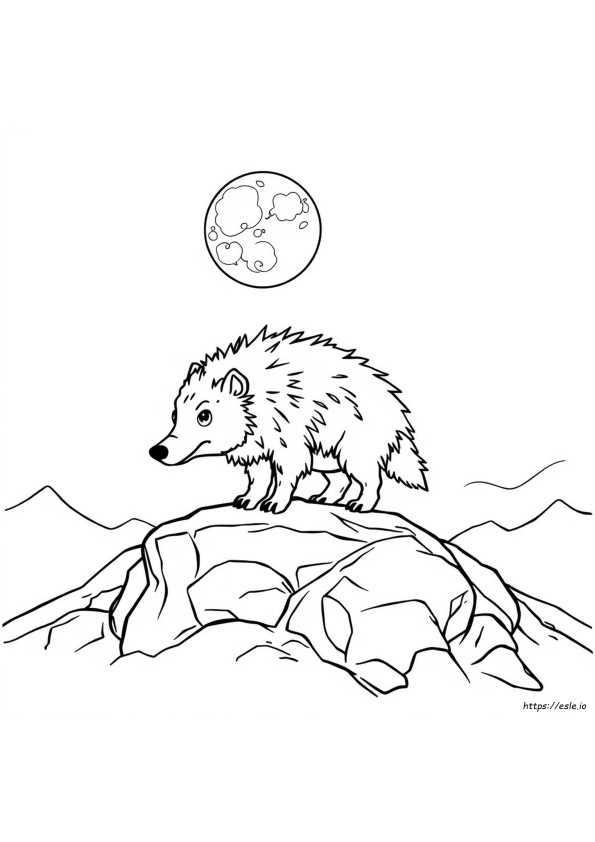 Werehog Coloring Pages