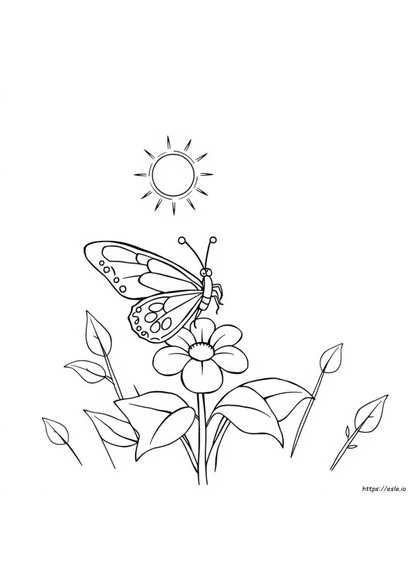 Mariposas Para Colorear