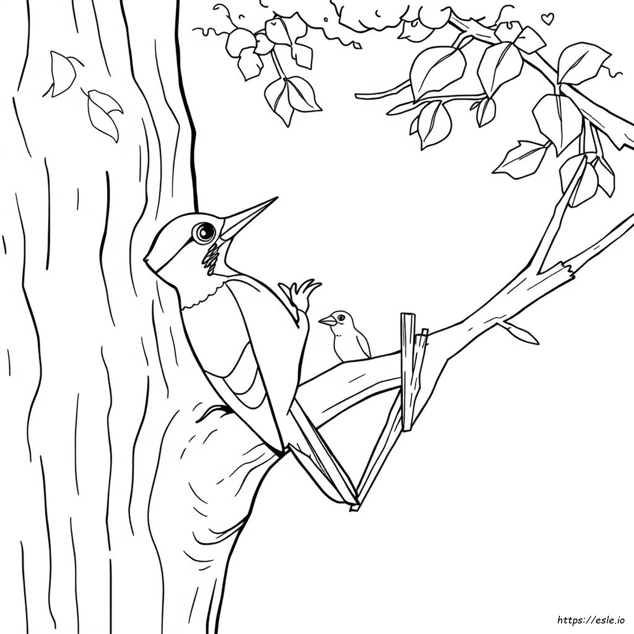 Woody Woodpecker Coloring Page - Free Printable