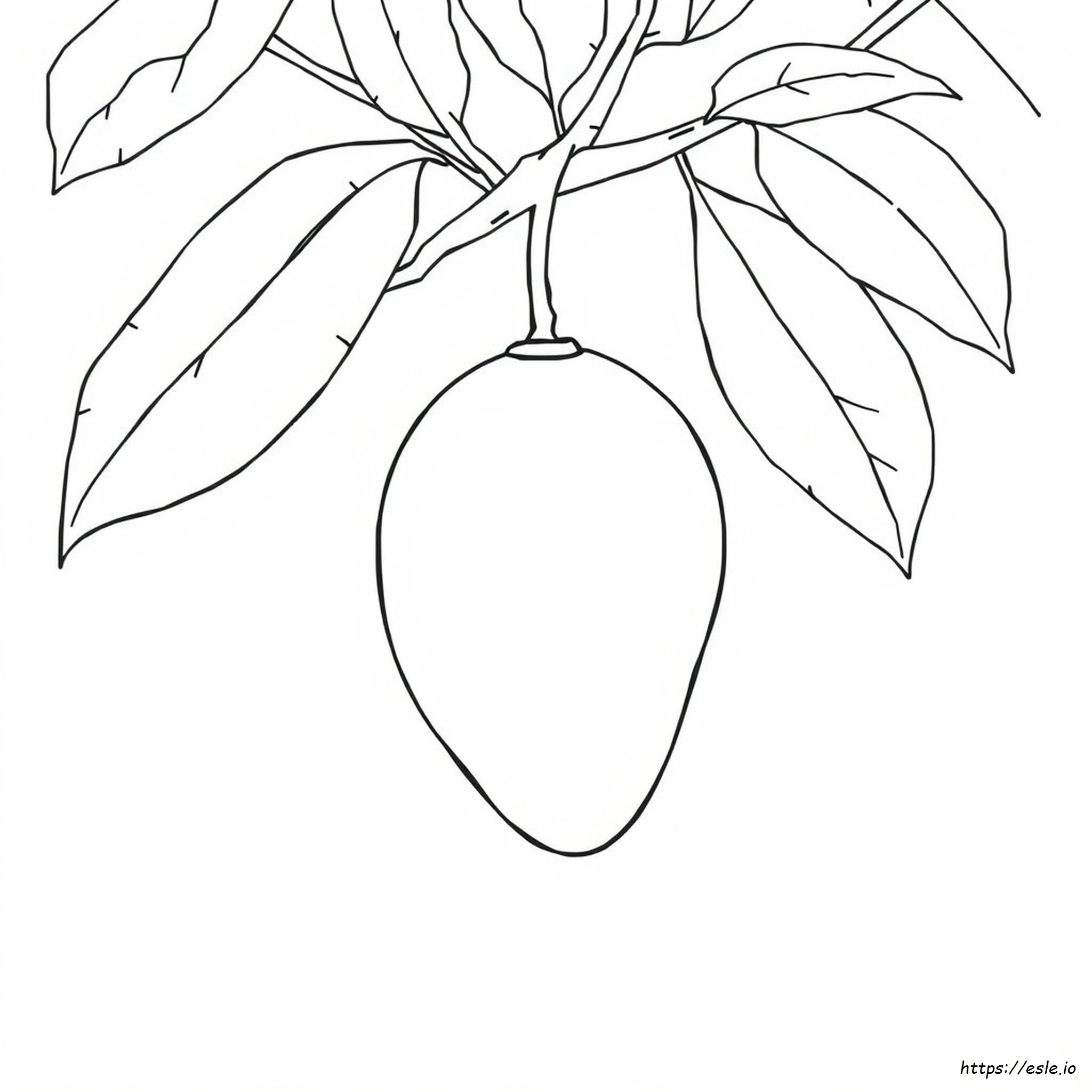 Outline Of Mango For Colouring - Coloring Page