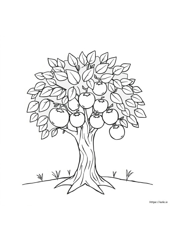 Printable Fruit Of The Spirit Coloring Pages