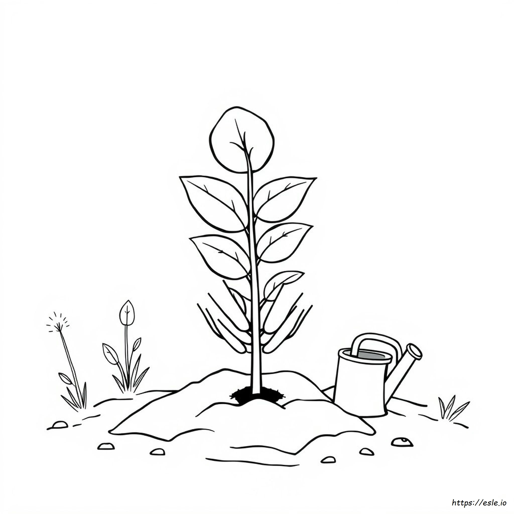 Plant A Tree Coloring Page