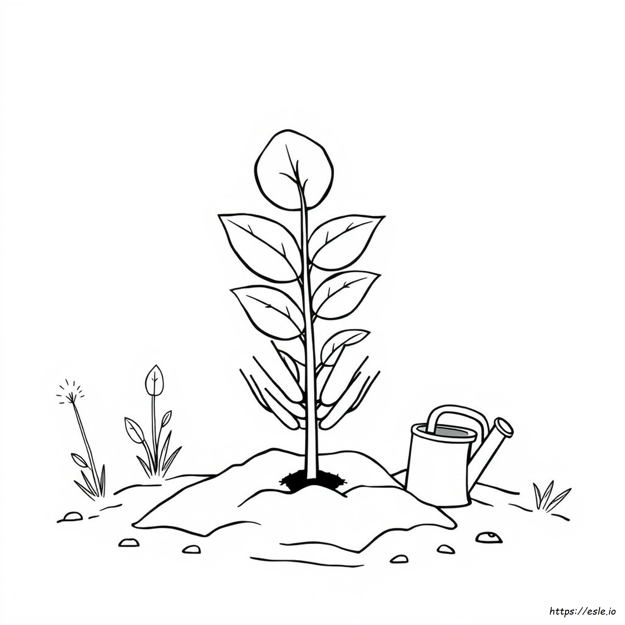 Plant A Tree Coloring Page - Free Printable PDF