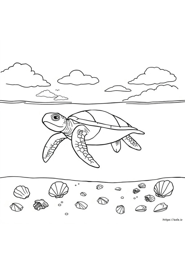 Țestoasă De Mare De Colorat De Imprimat