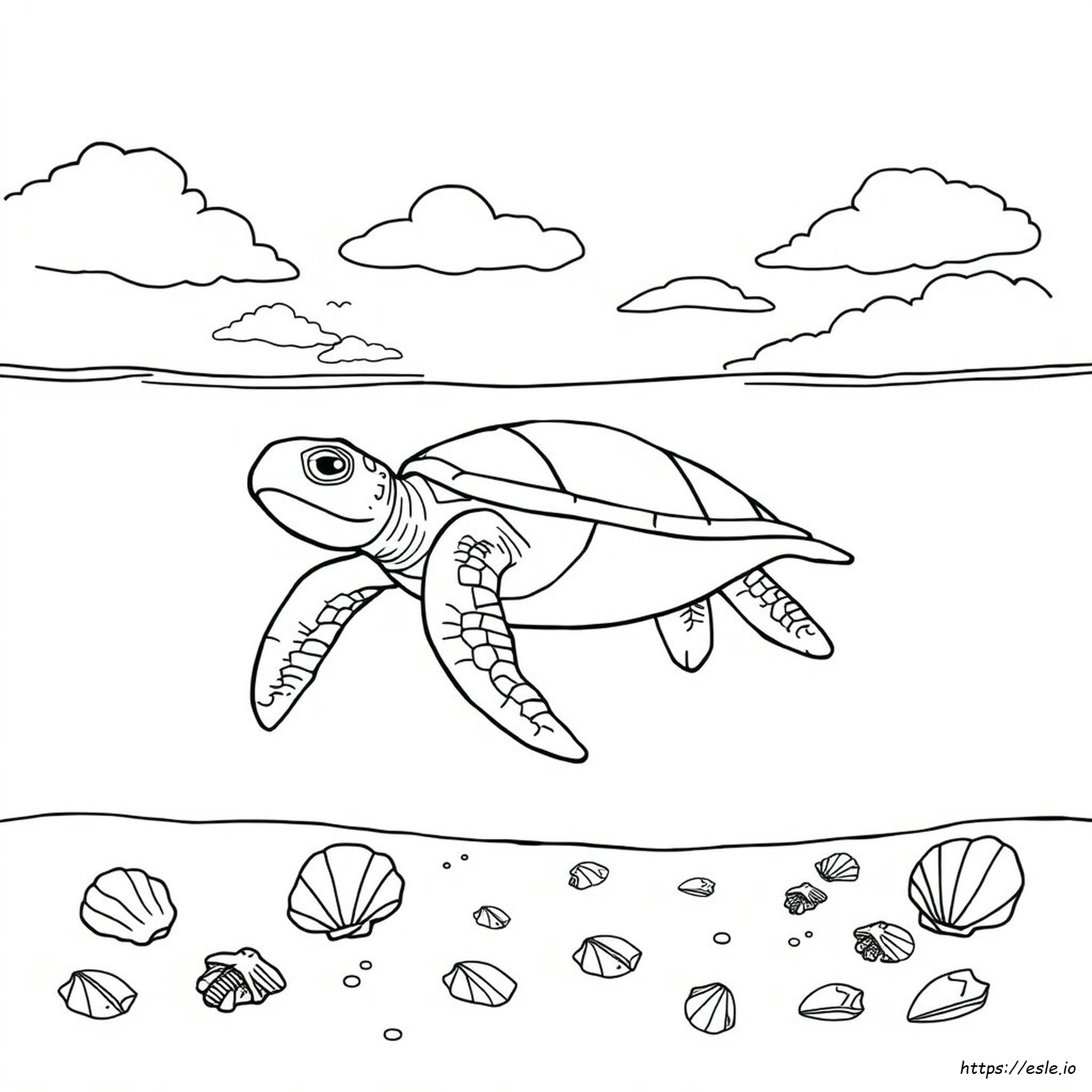 Sea Turtle Coloring Pages Printable