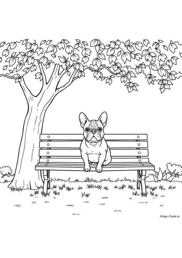 Franse Bulldog Kleurplaten