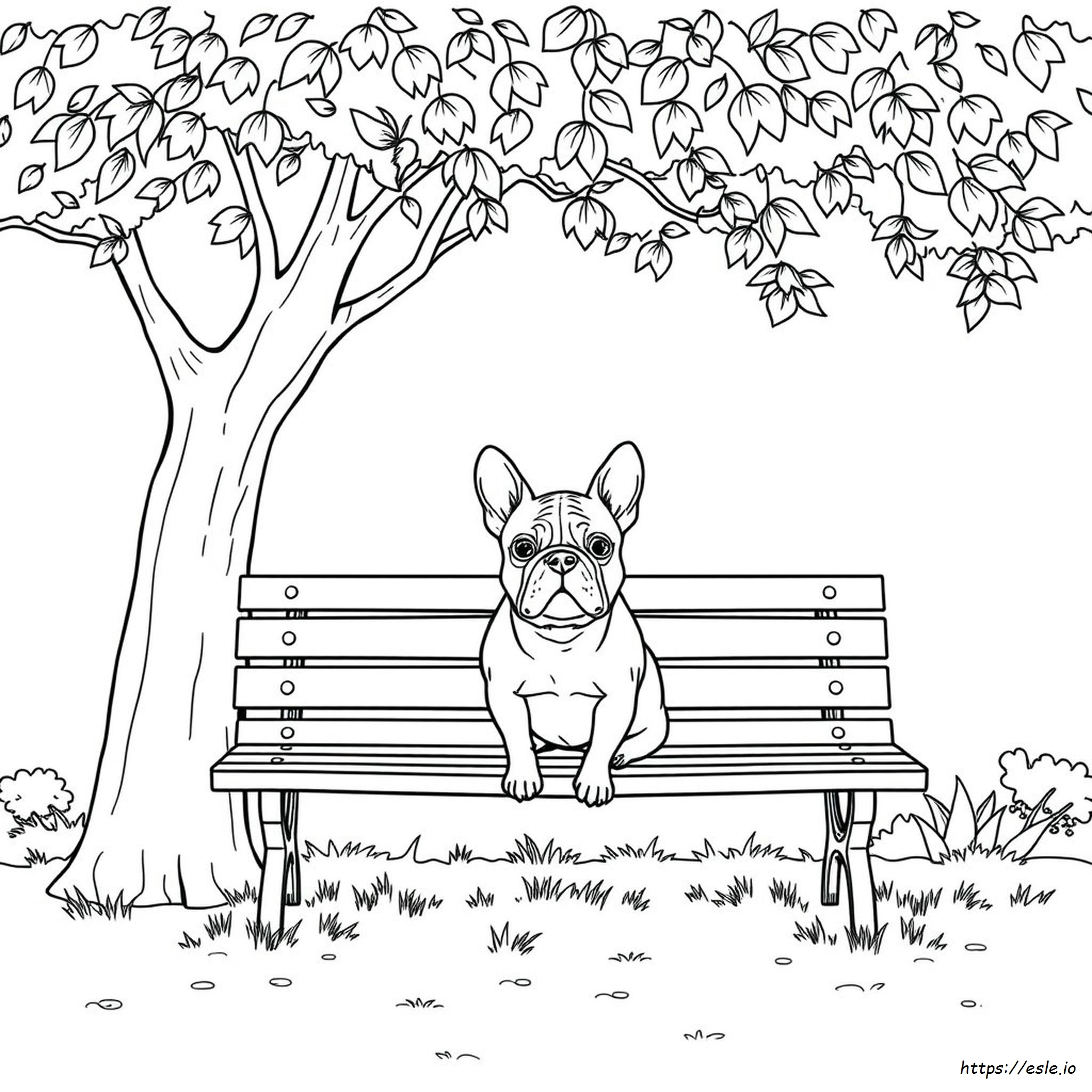 Bulldog Francese Da Colorare