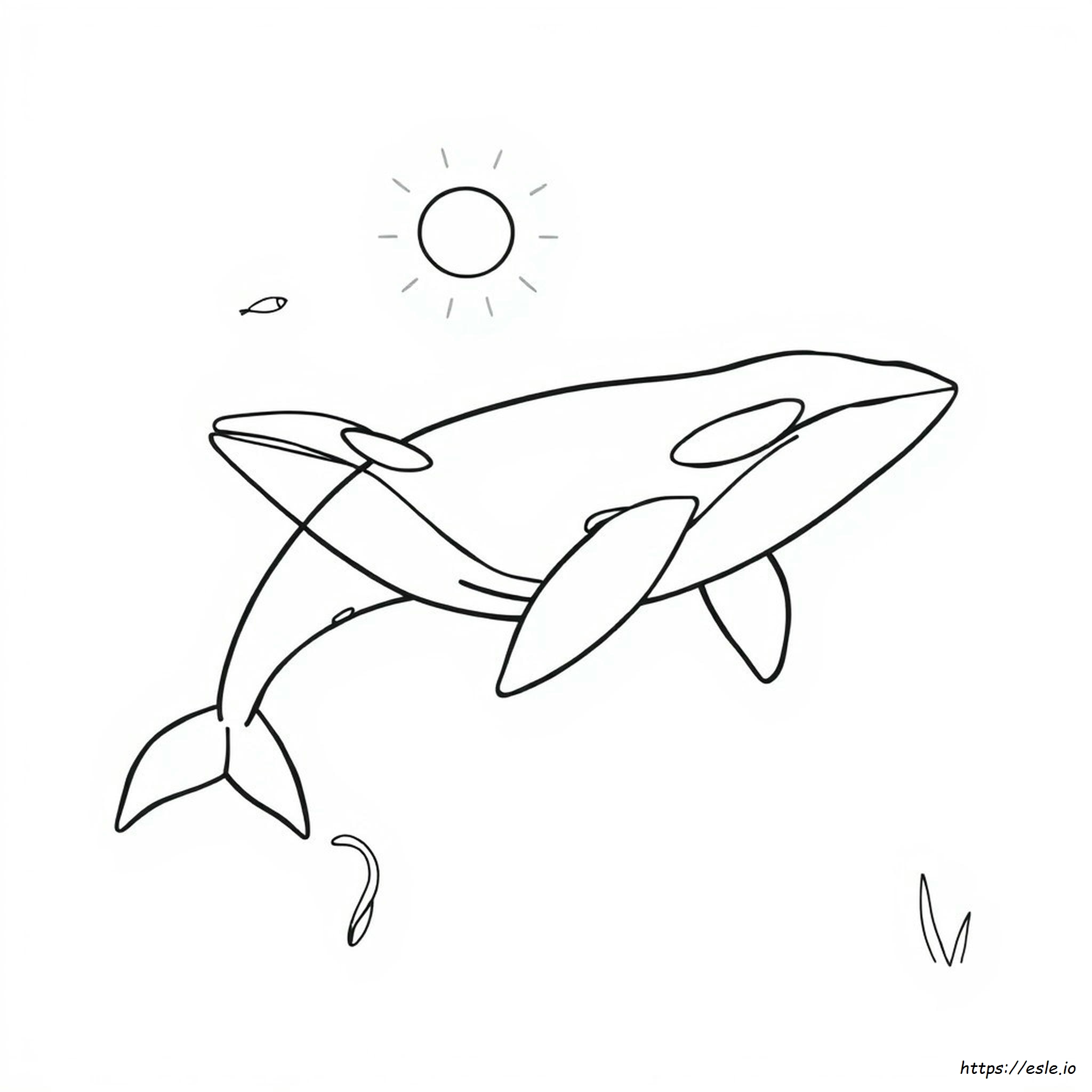 Killer Whale Coloring Pages To Print